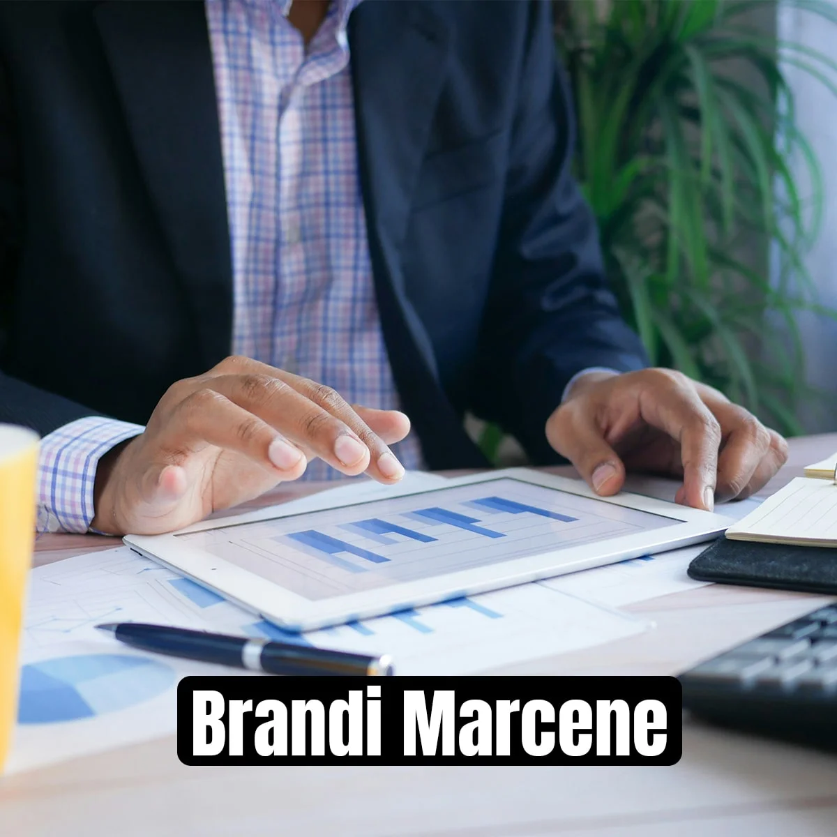 Home 64 Brandi Marcene Portfolio for Finance